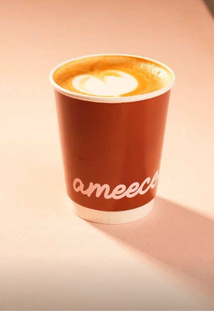 Ameeco reel 4